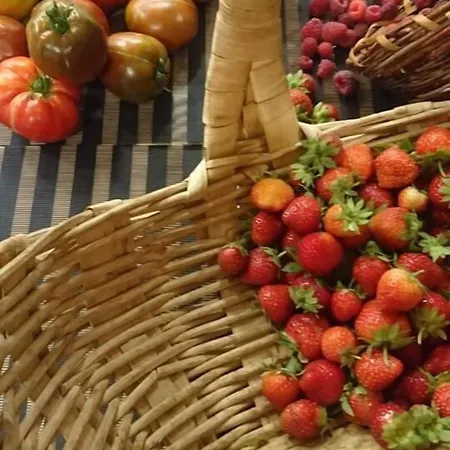 Hôtel&résidence Le Subrini Apart-hotel