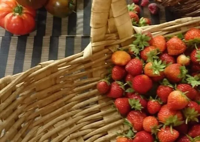 & Le Subrini Lägenhetshotell